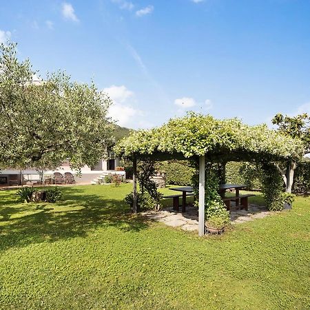 Mansarda Albero Verde Con Piscina Casanova Lerrone Екстер'єр фото